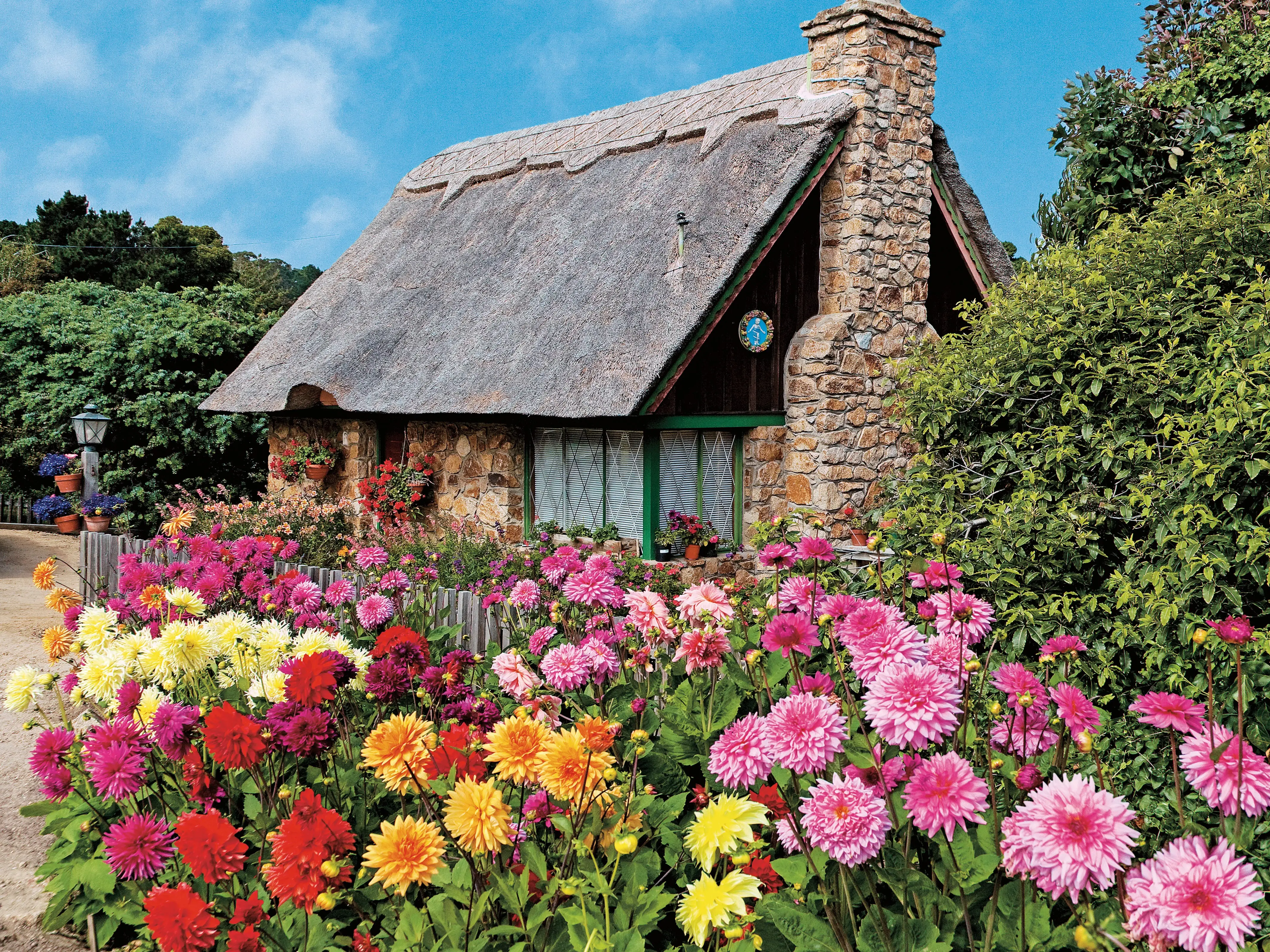 A cottage surrounded by colorful flowers.