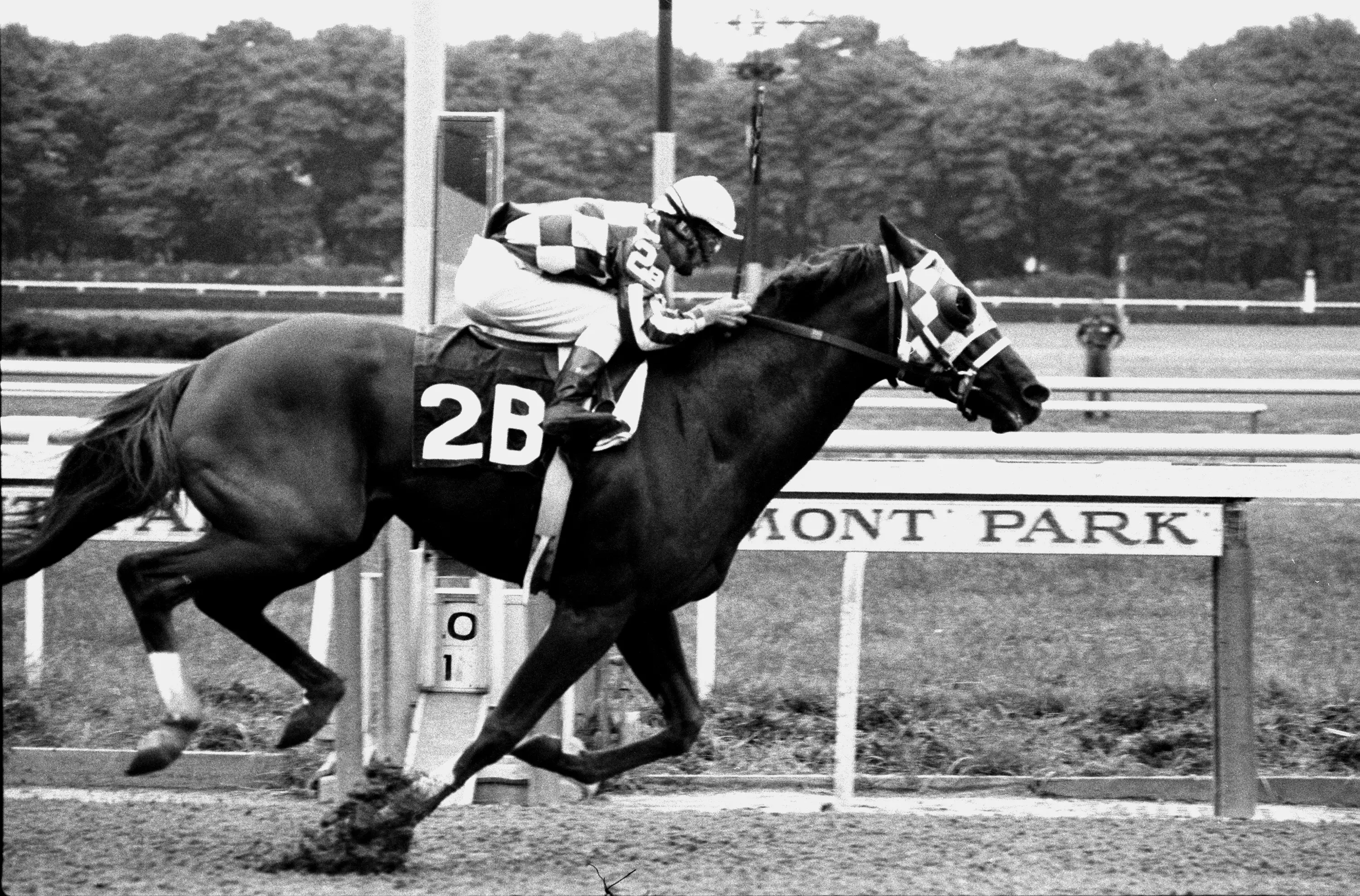 Secretariat at Belmont Park