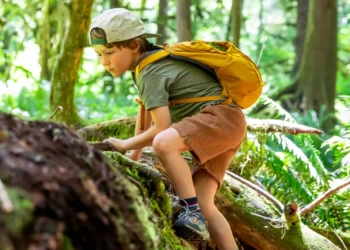 A psychologist explains why adaptable kids will outpace straight-A students in the AI era