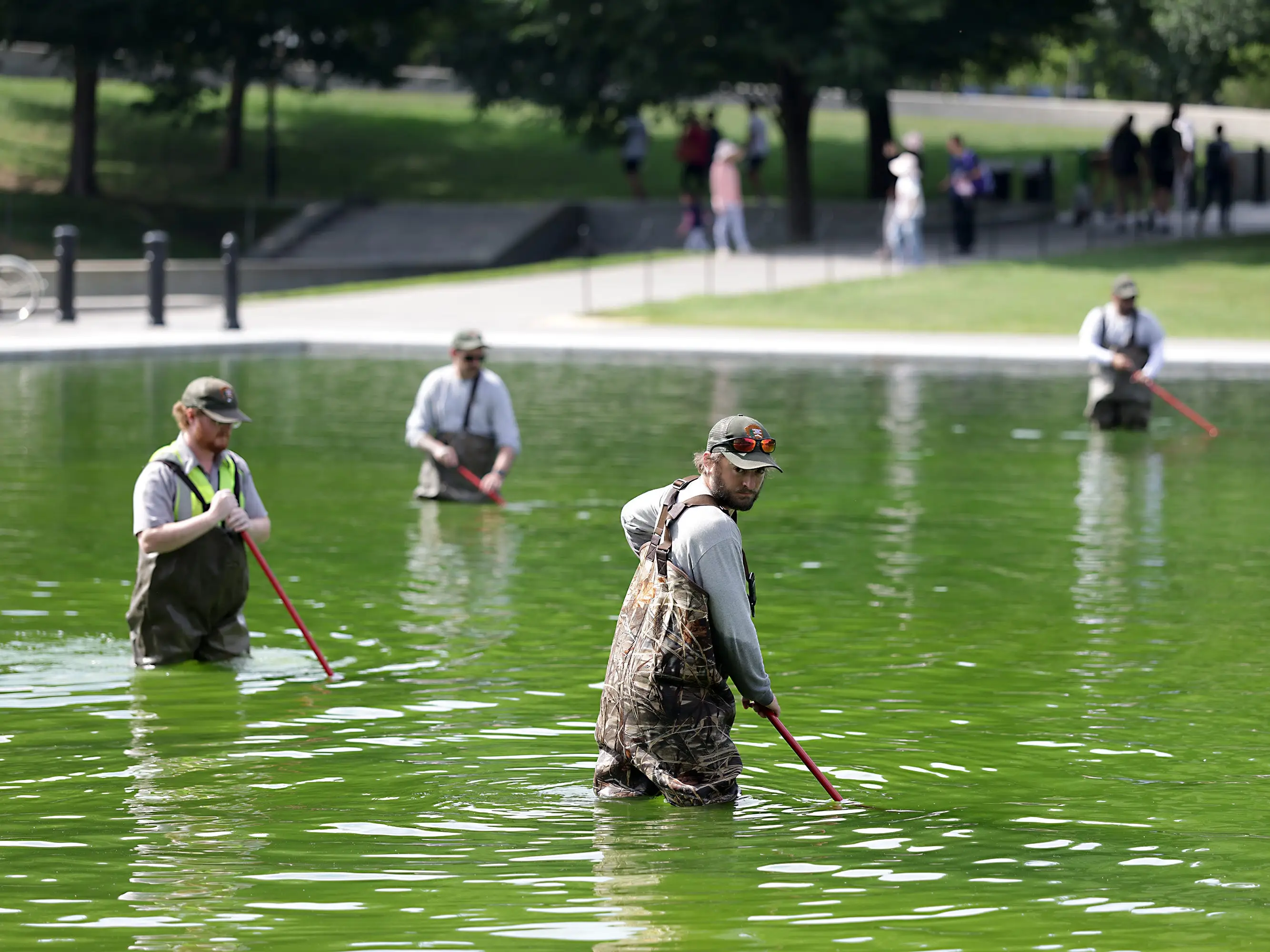 National Park Service employees work to clean up algae in the Lincoln Memorial Reflecting Pool following the completion of recent renovations on June 14, 2026 in Washington, DC.