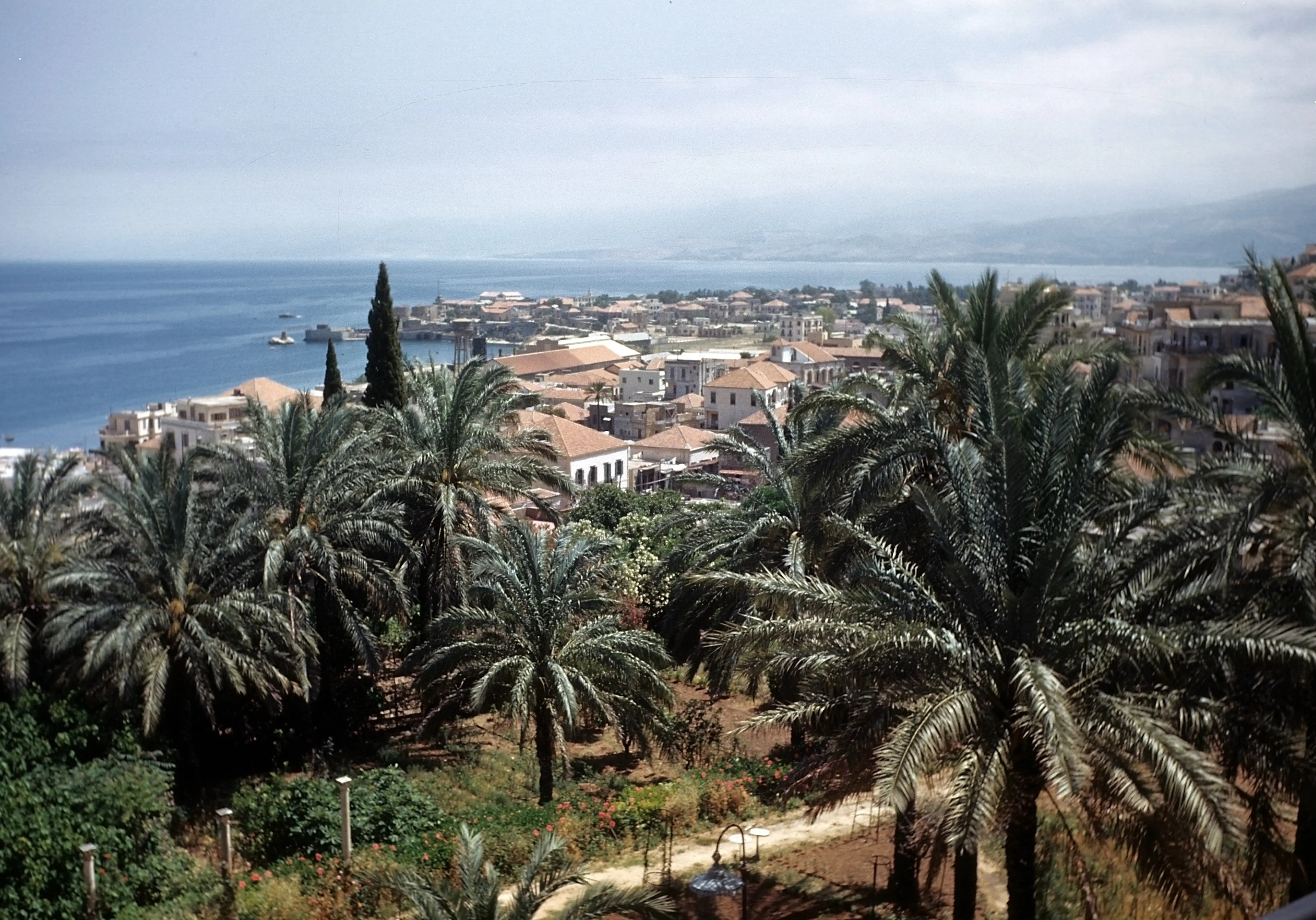 MAY 1948: An aerial view of buildings and palm trees and the harbor in the distance in Beirut, Lebanon.