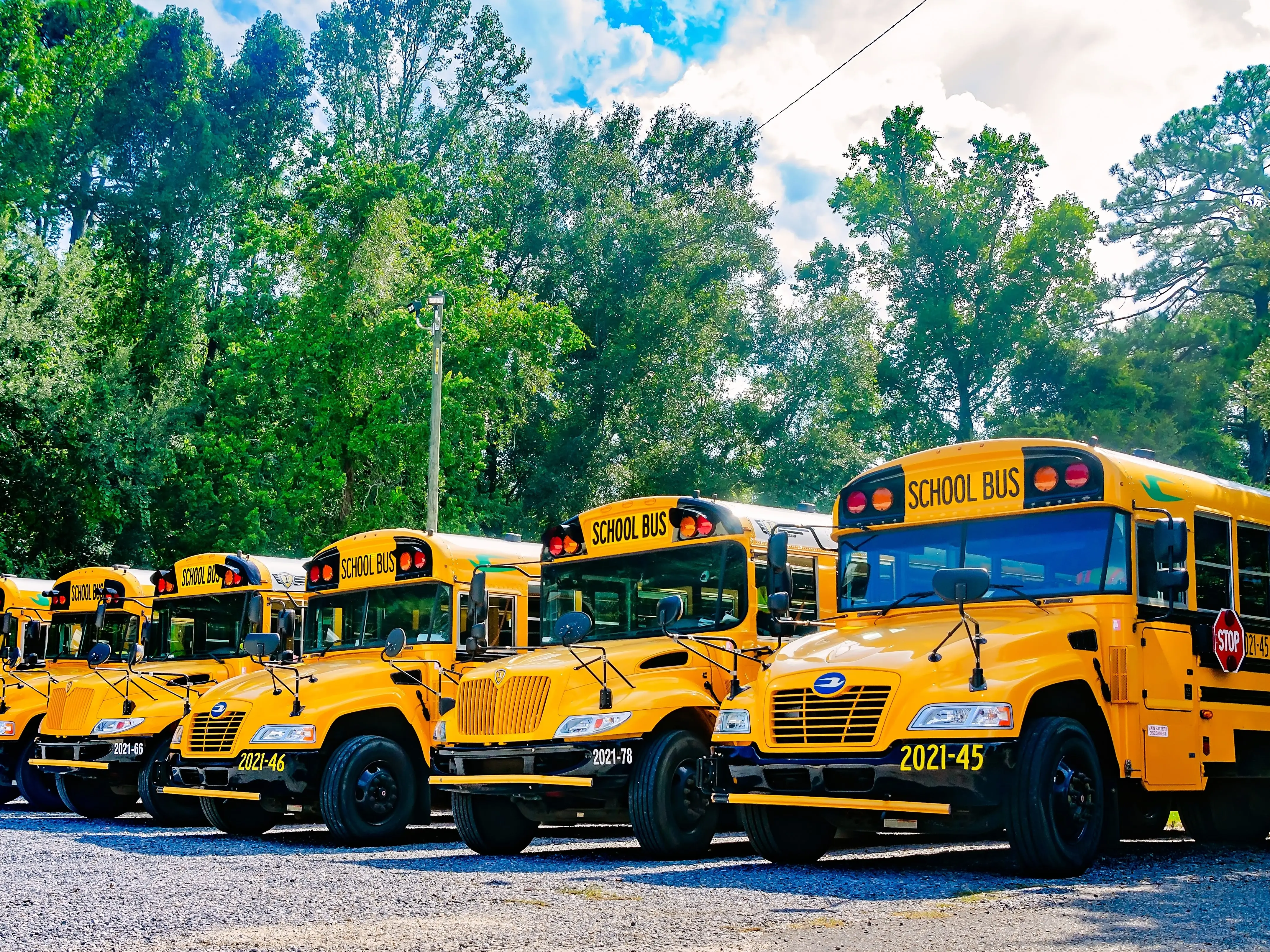 School buses lined up