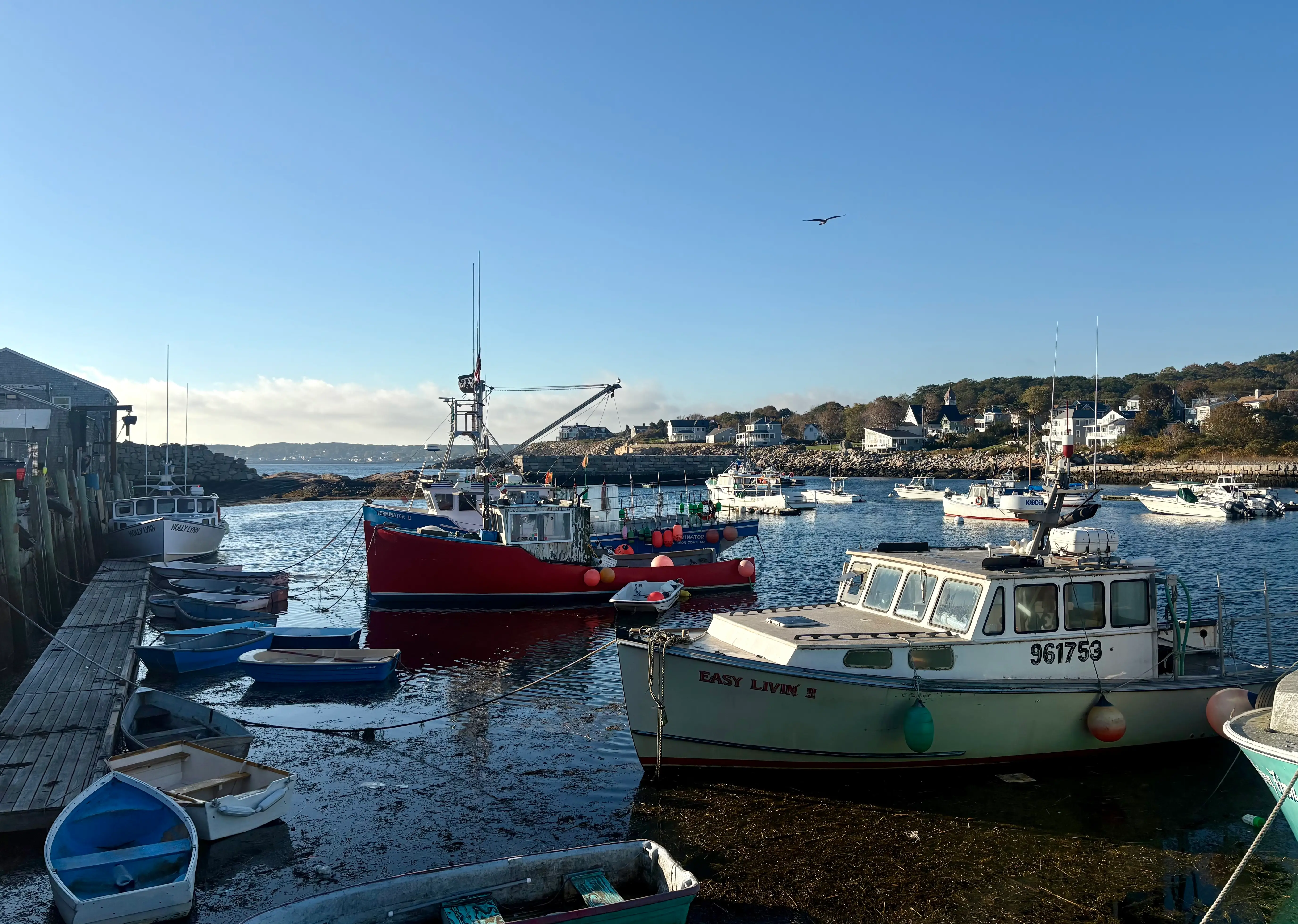 View of boats in a harbor at Rockport, Massachusetts