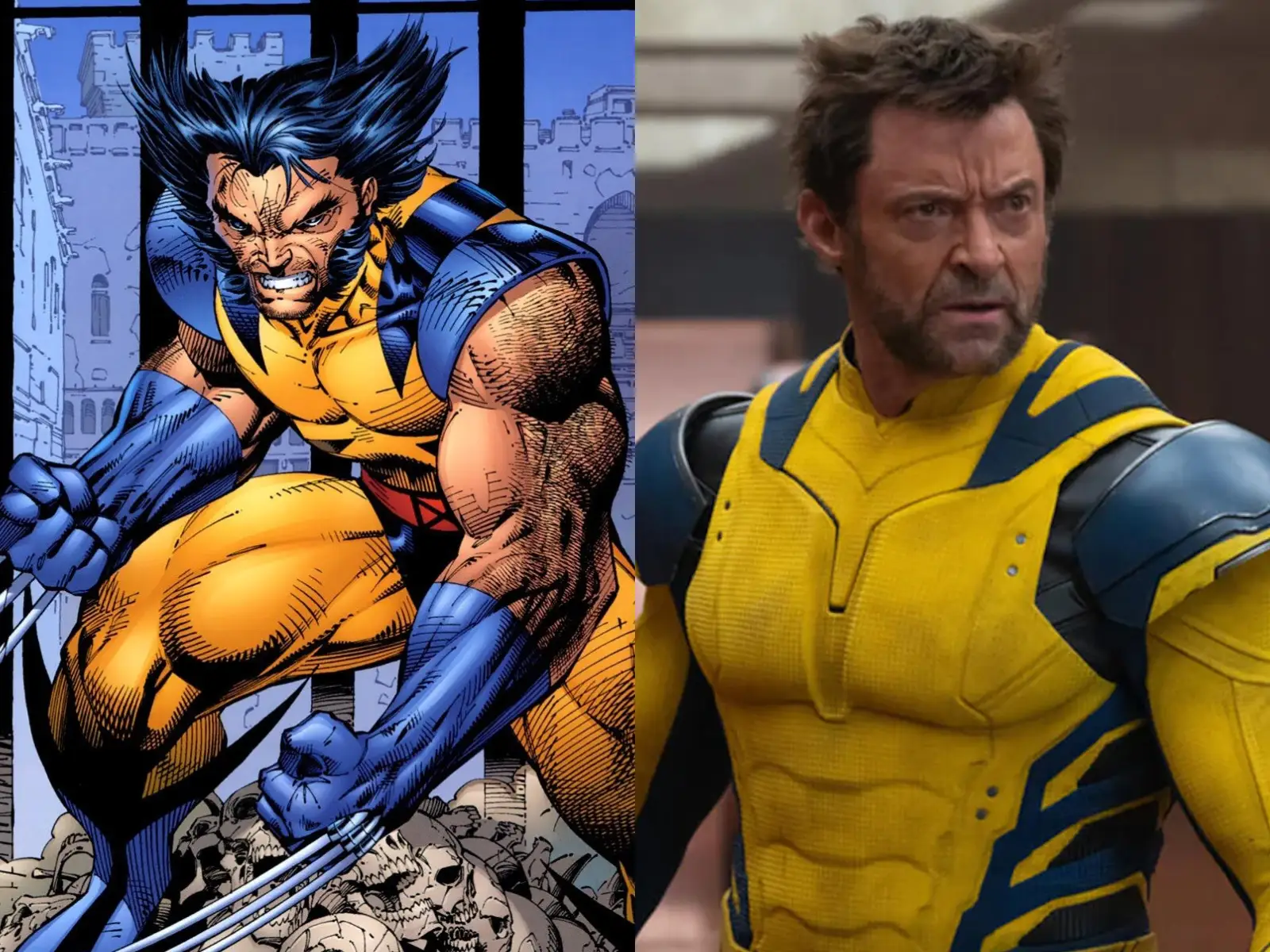 wolverine