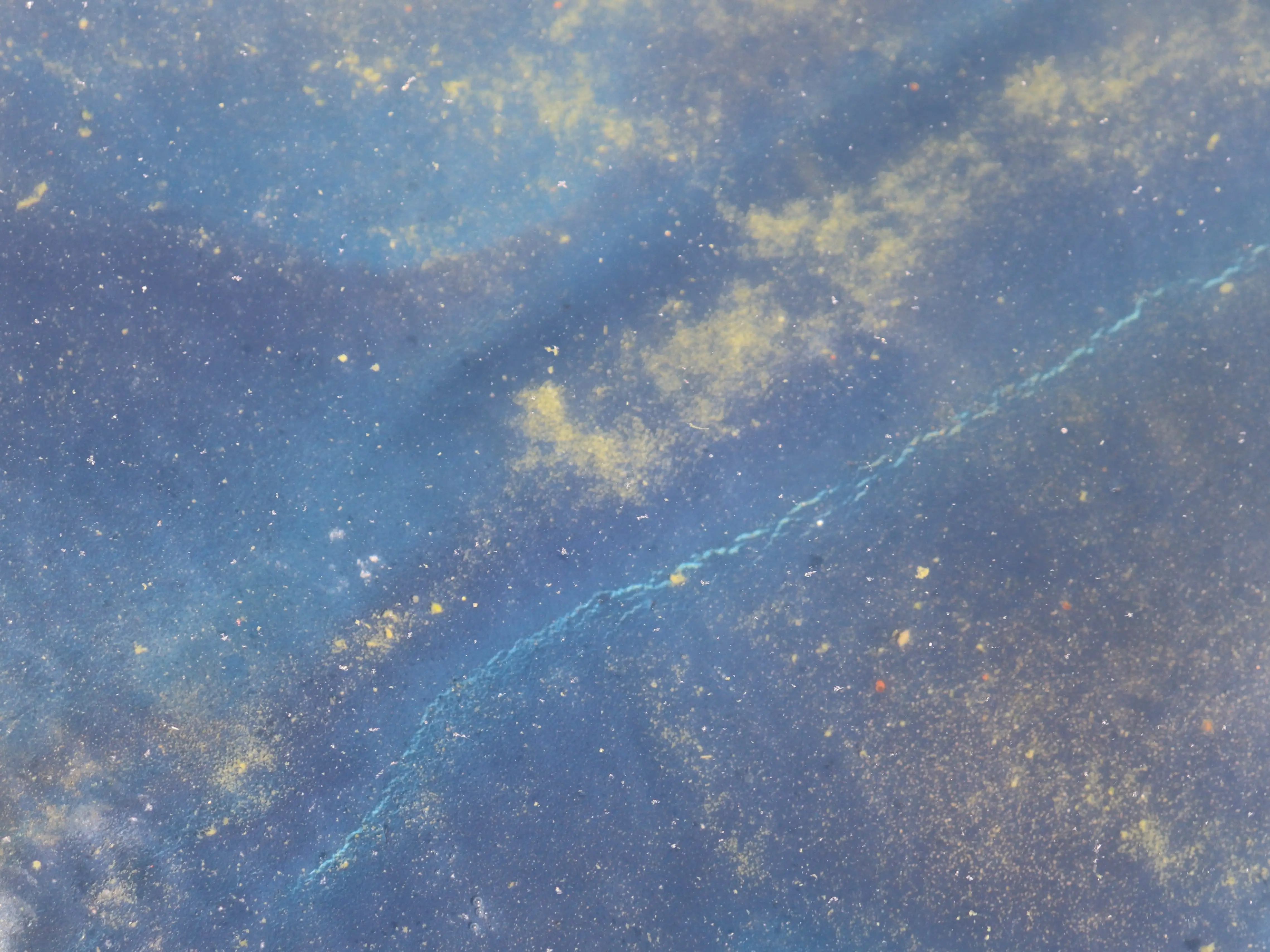 Cracking paint at the reflecting pool in Washington, DC, in June 19, 2026