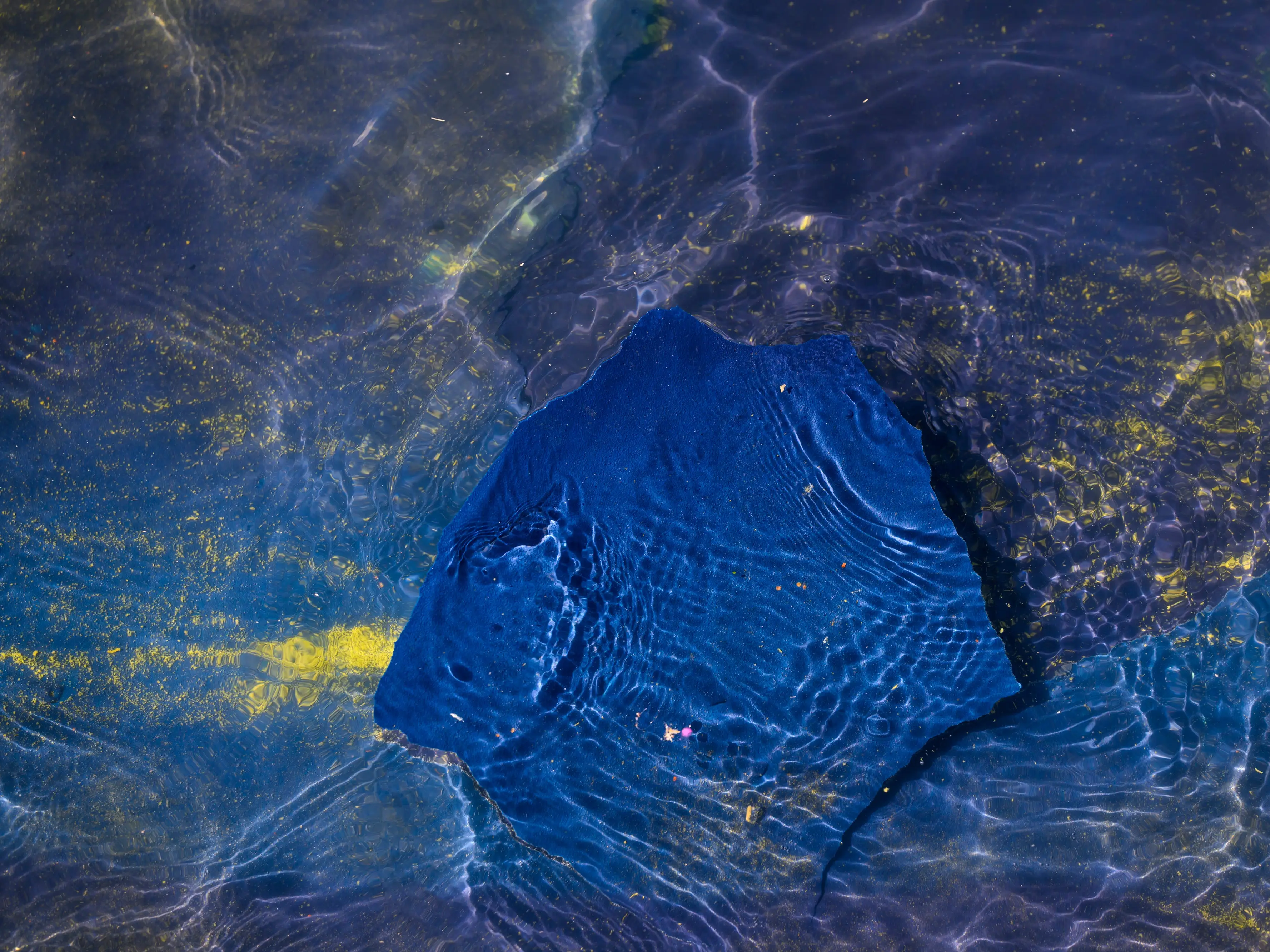 A piece of blue coating, still attached to the bottom, bobs in the water at the Reflecting Pool on June 21, 2026 in Washington, DC. Earlier in the day, NPS personnel worked to vacuum algae from the pool.