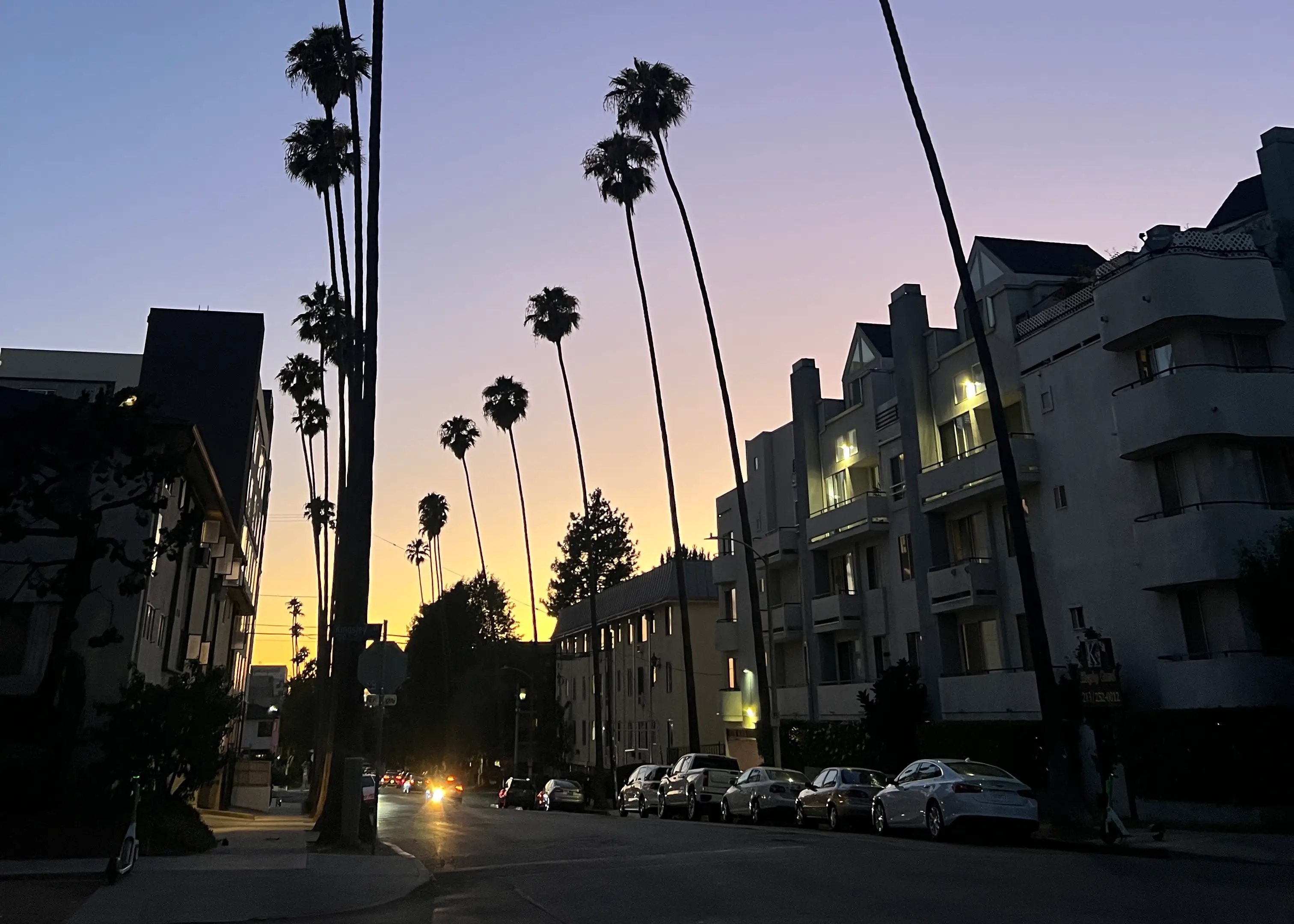 Views of palm trees and street as sun goes down