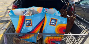 I’m a single woman who grew up shopping at Aldi. Here are 11 items I always add to my cart.