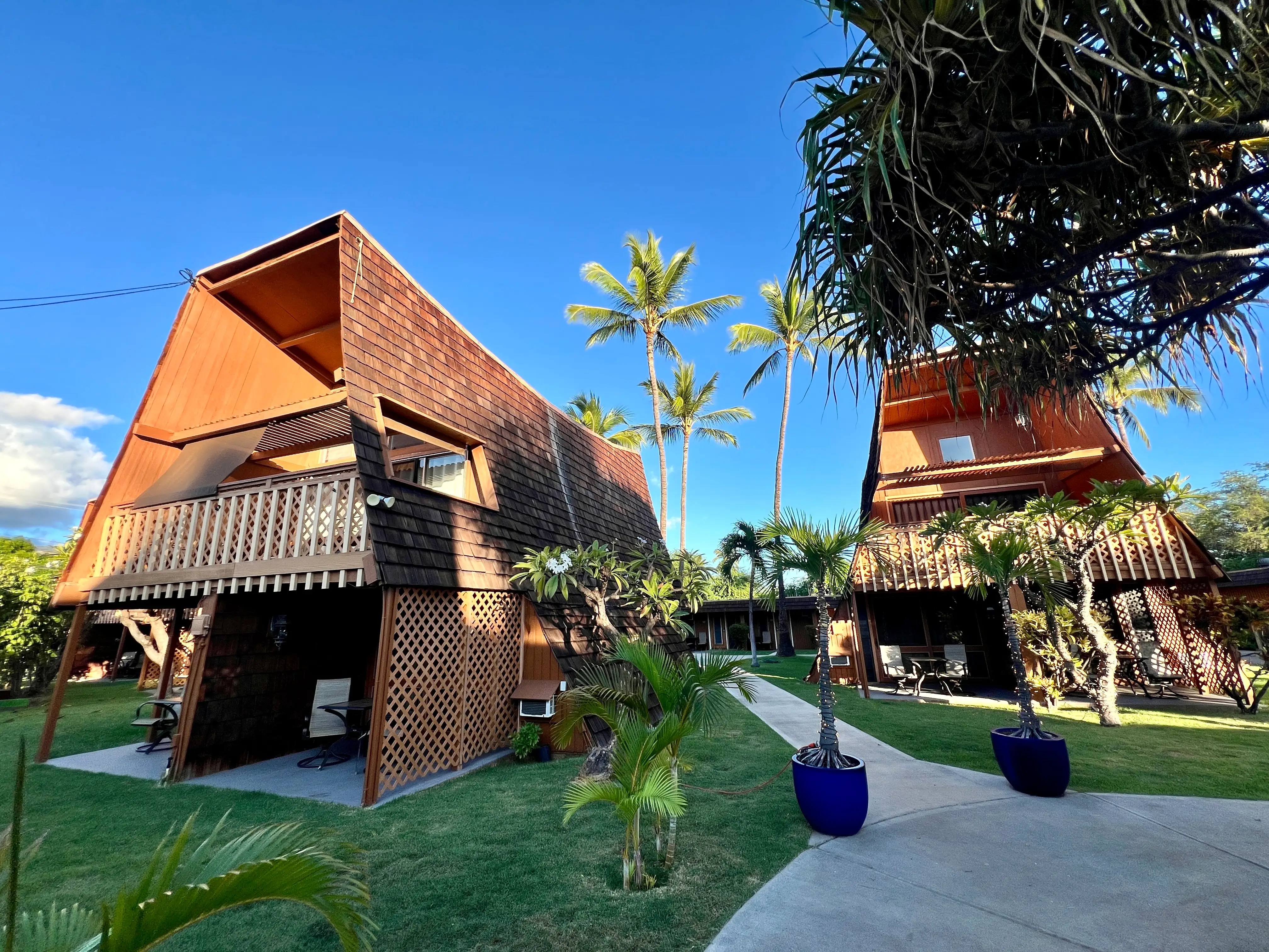 View of multistory condos with brown exterior among palm trees on Molokai