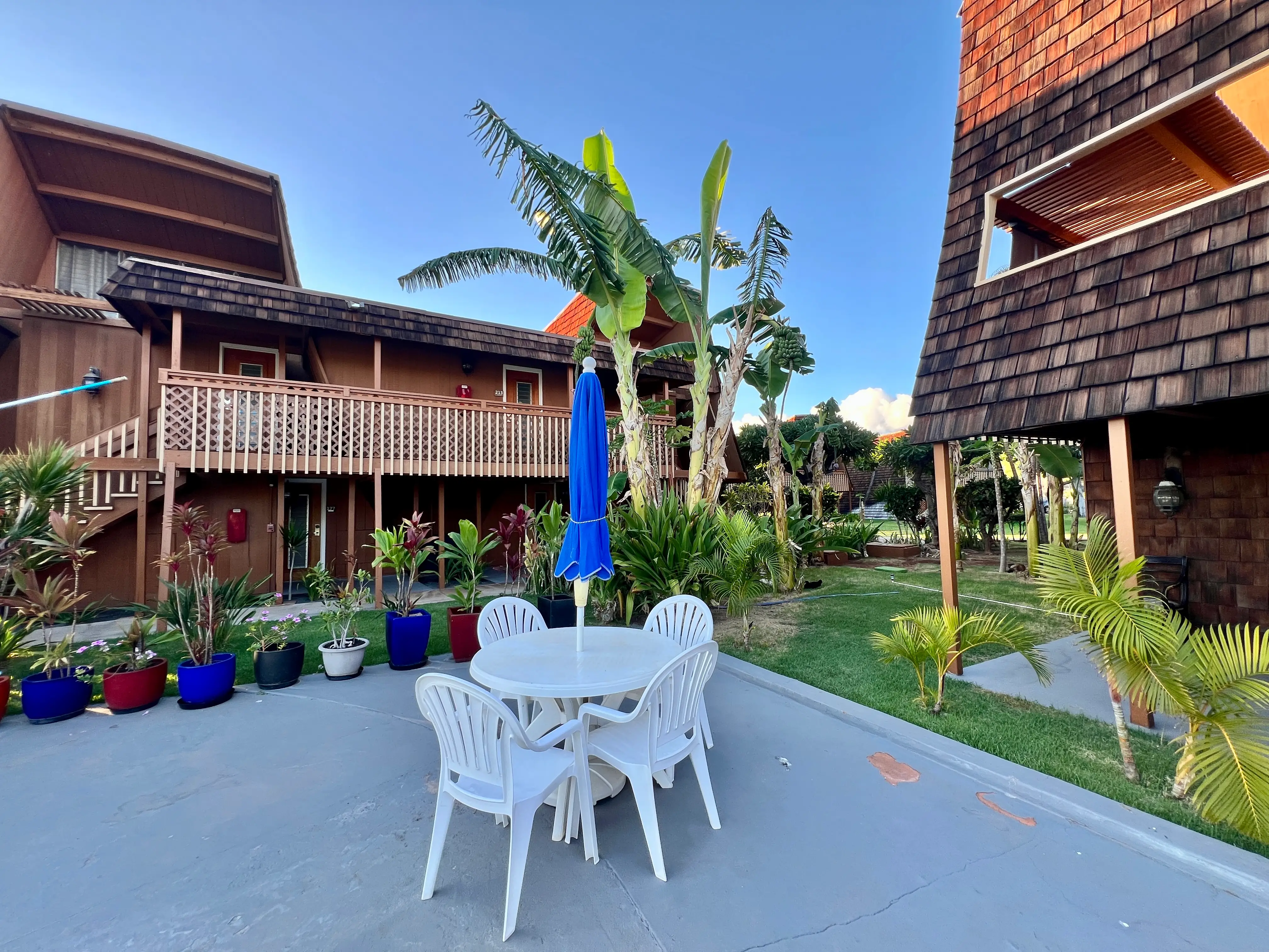 View of table, chairs, plants in outdoor area surrounded by palm trees, brown buildings