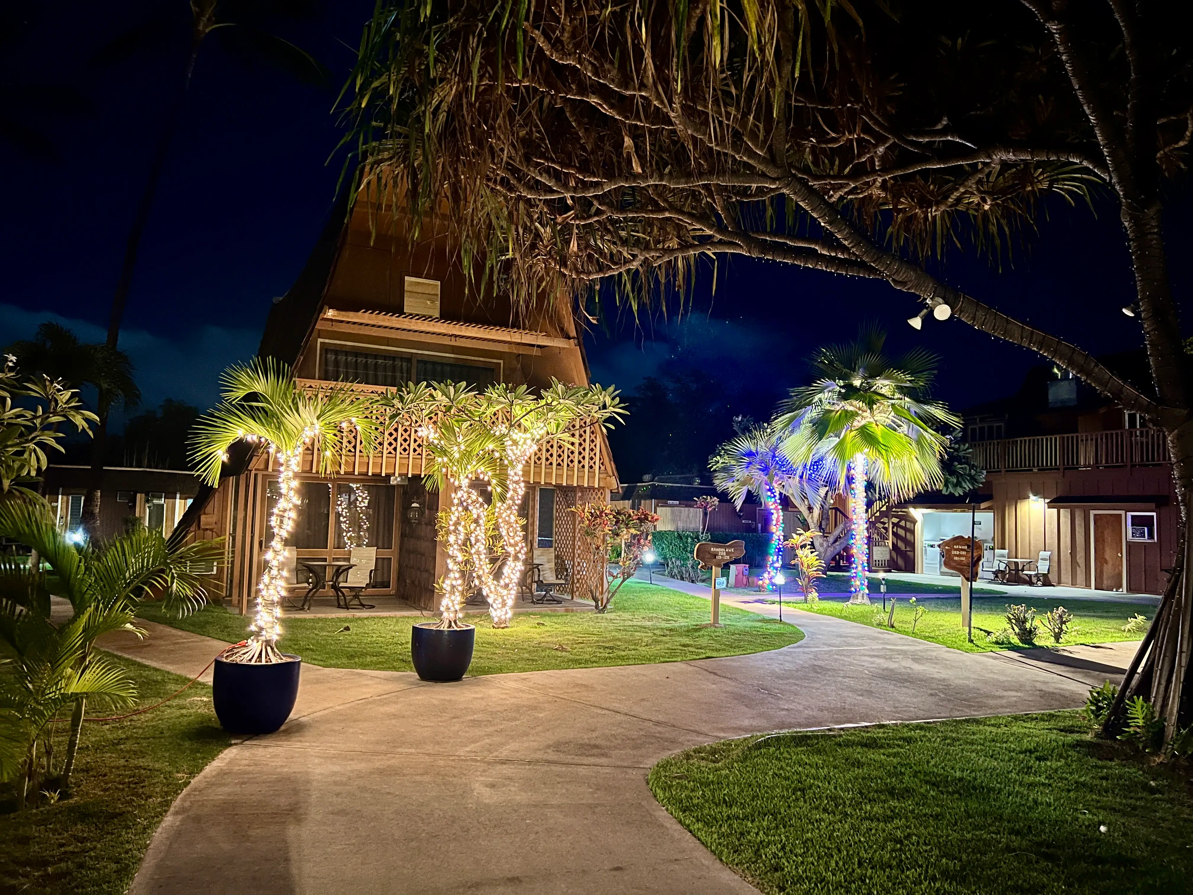 View of hotel area at night with palm trees wrapped in lights, empty walkways