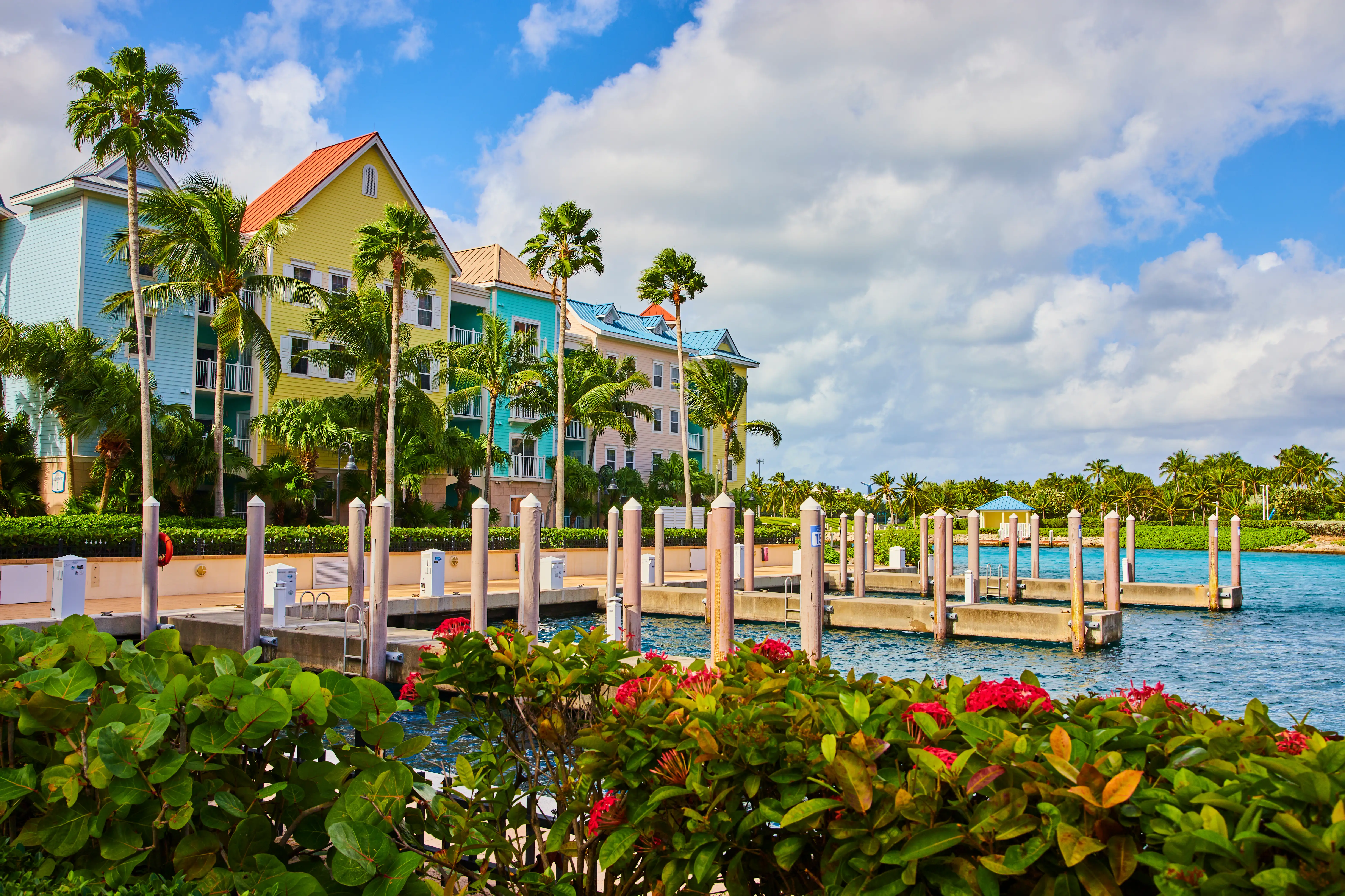 View of buildings, trees at paradise island in bahamas