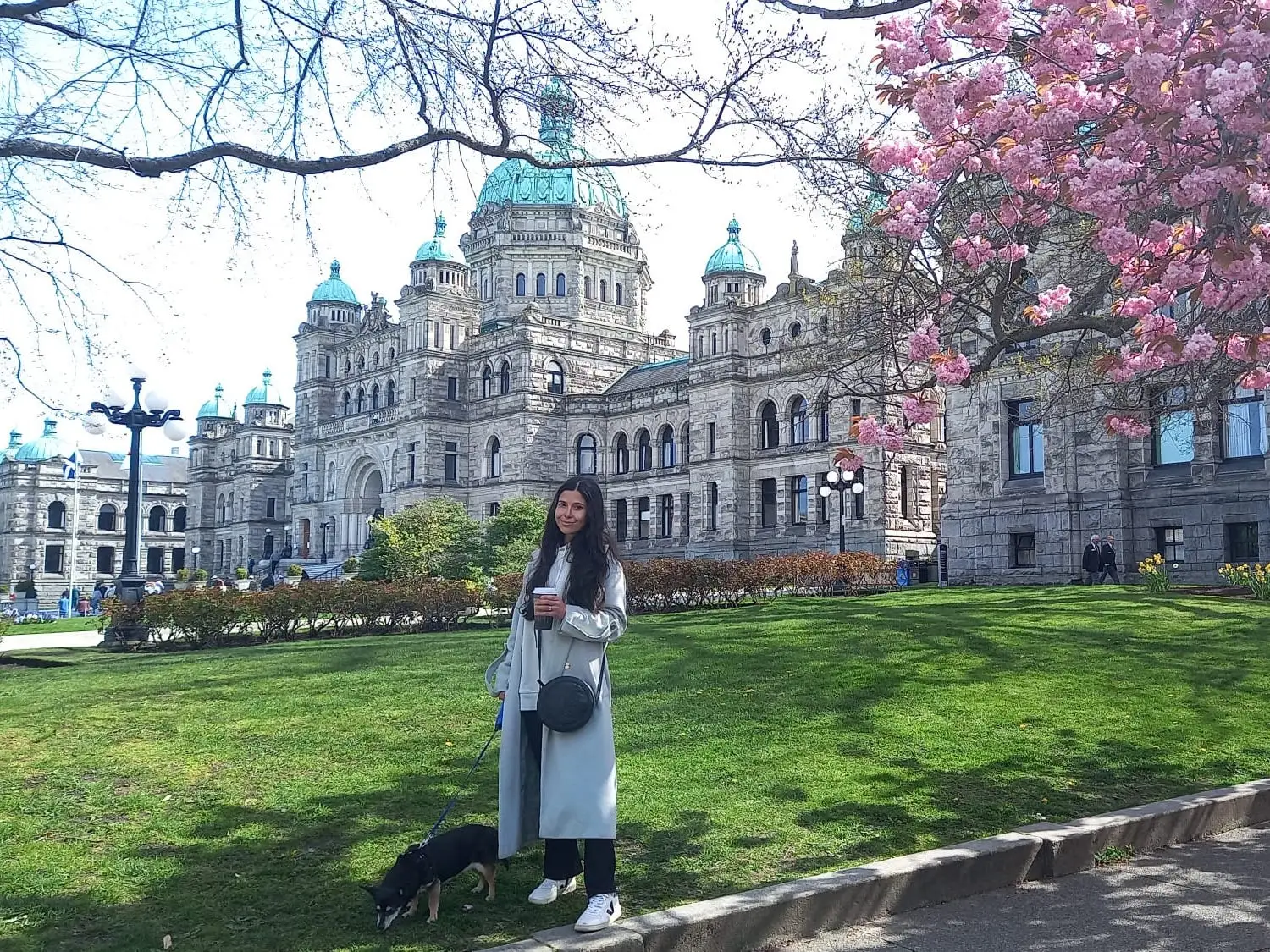 Woman standing with coffee in dog in front of Parliament building with flowery tree