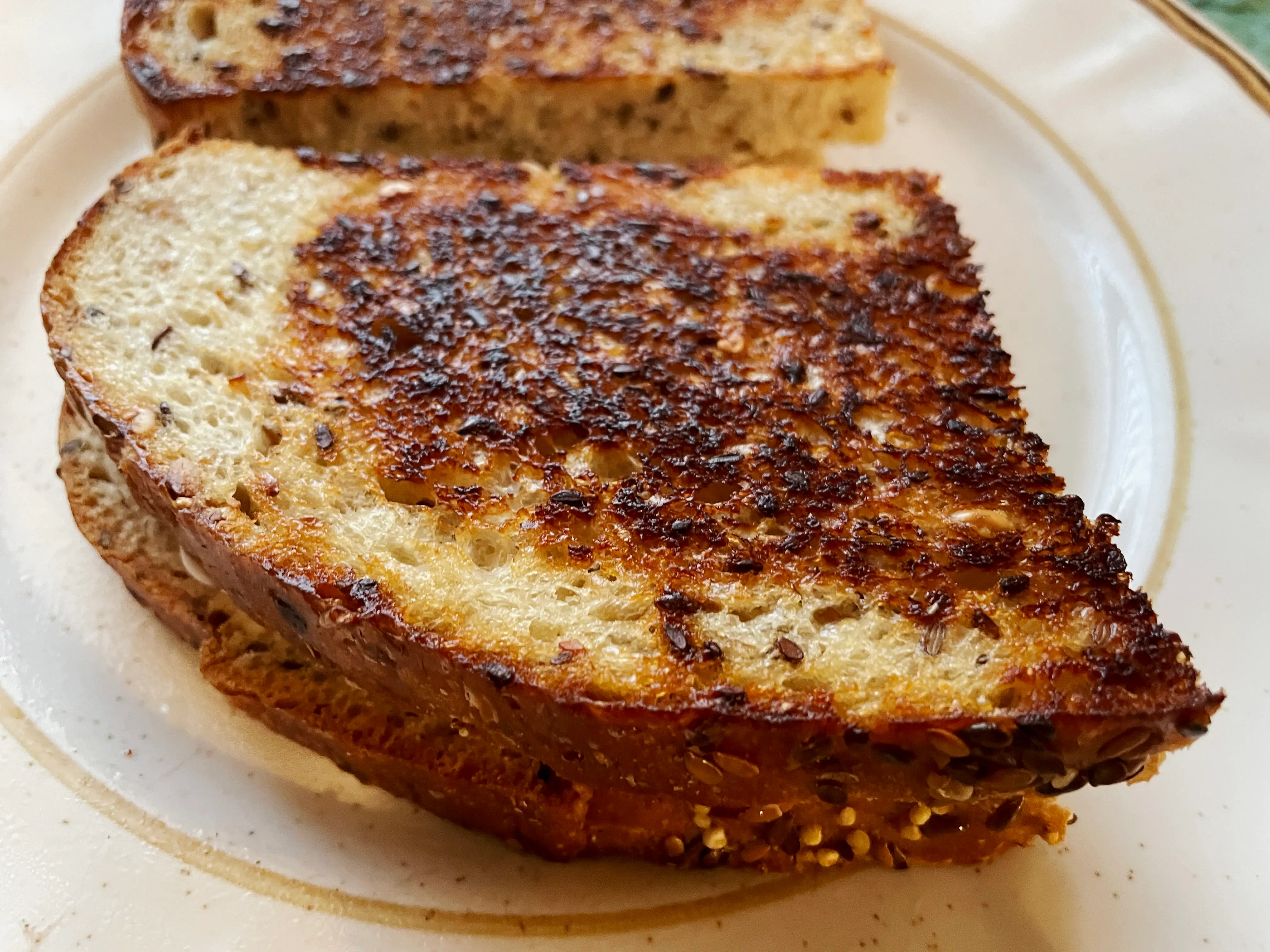 A grilled sandwich.