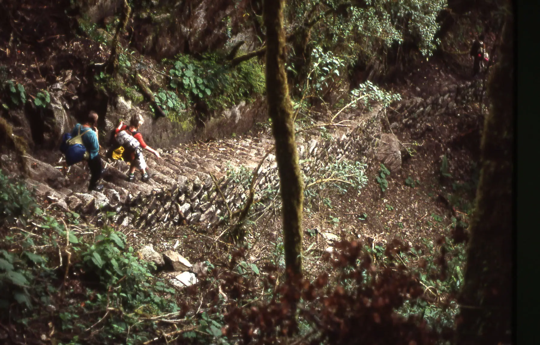 The author treks down the steep Inca steps.