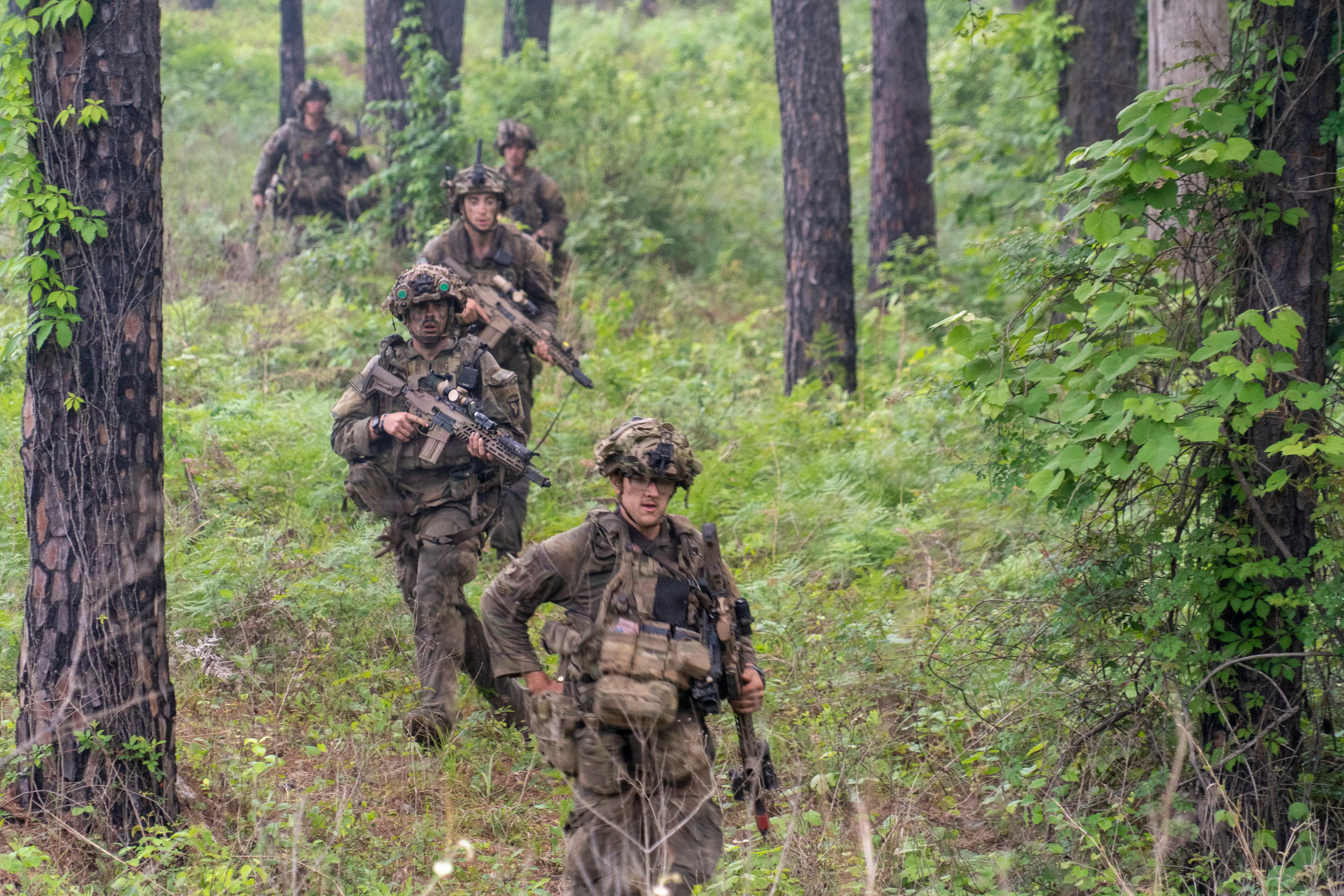 Soldiers wearing camouflage and holding rifles walk along a trail in the forest.