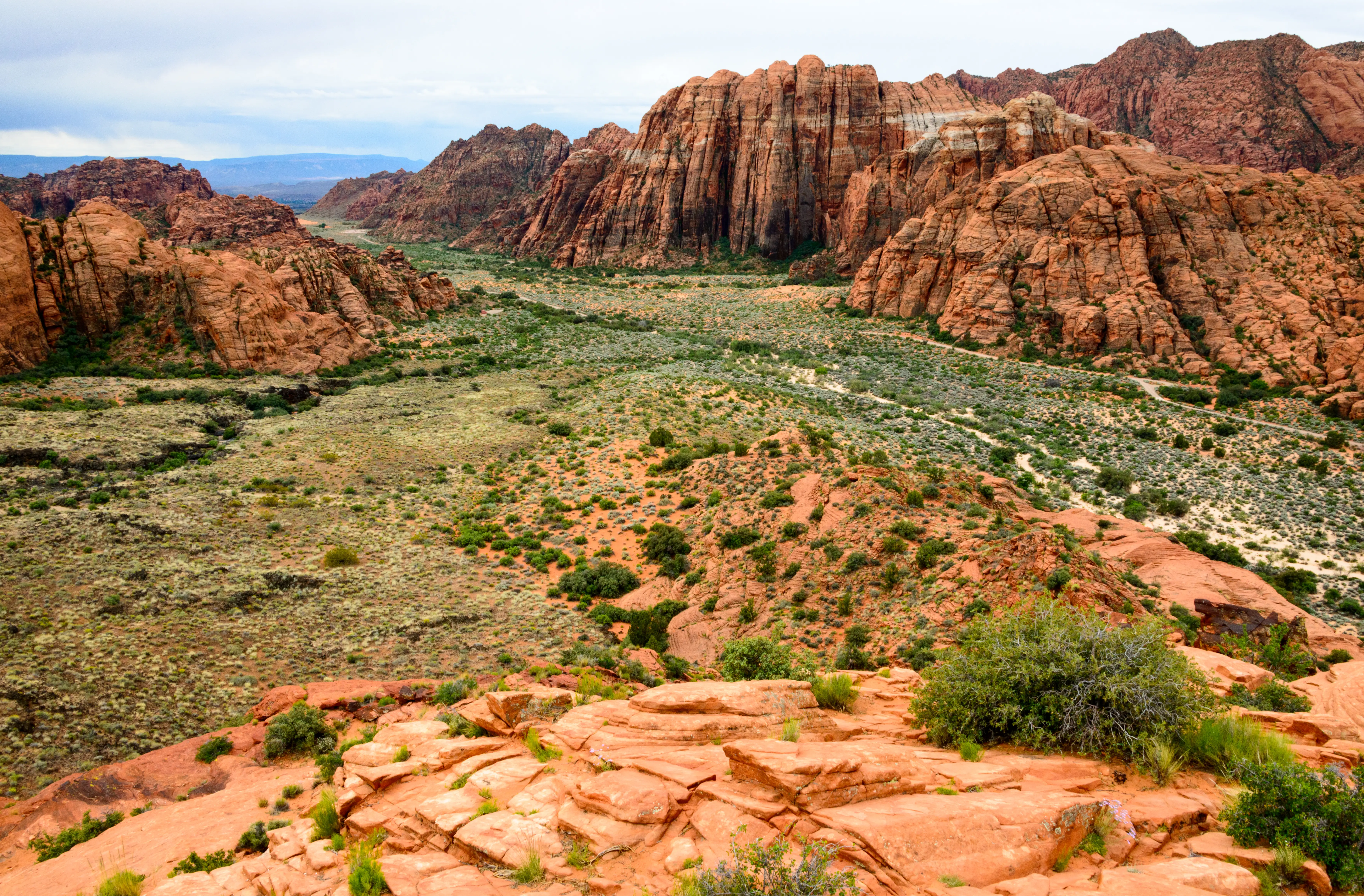 Reddish rocks in Utah dotted with greenery