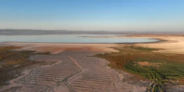 An AI data center suing for Colorado River water highlights a bigger question: Who should get the West’s water?