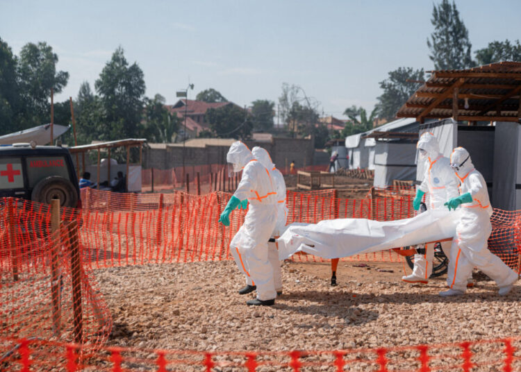 Remember Ebola?