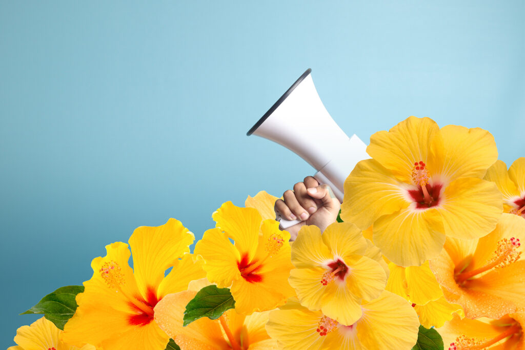 Hawaii is making a dangerous bid to suppress free speech