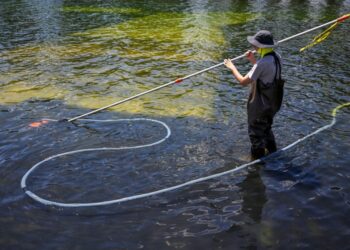Cyclist arrested at Reflecting Pool is former Olympian who denies vandalism claims