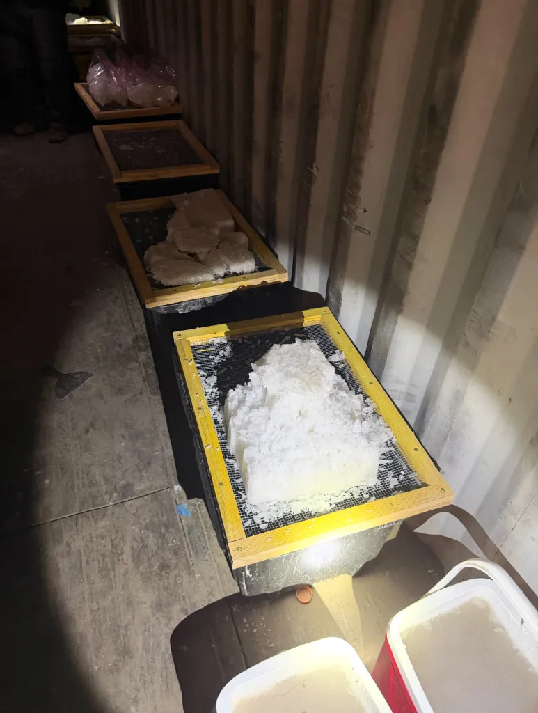 Bust of over 800 pounds of methamphetamine drying in a hidden narcotics operation.