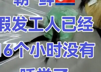Videos Show Chinese Businesses Hawking North Korean Labor