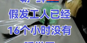 Videos Show Chinese Businesses Hawking North Korean Labor