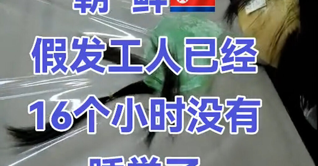 Videos Show Chinese Businesses Hawking North Korean Labor