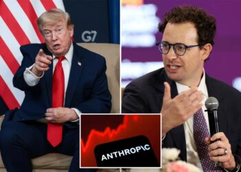 Trump admin open to talks with Anthropic over foreigner ban