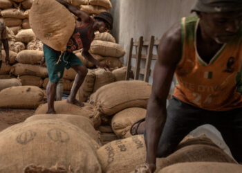 The Iran War’s Persistent Threat to Farmers in Poor Countries