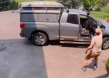 Bear Breaks Into Truck, Helping Itself to Handyman’s Lunch