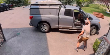 Bear Breaks Into Truck, Helping Itself to Handyman’s Lunch