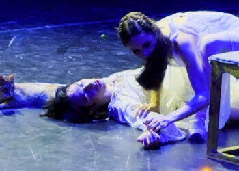In Its Tragic Finale, ‘Romeo and Juliet’ Is Interrupted by a Cat