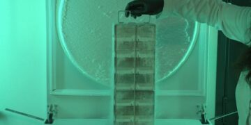 The Plan To Collect and Save the DNA of Everything on the Endangered Species List