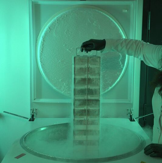 The Plan To Collect and Save the DNA of Everything on the Endangered Species List