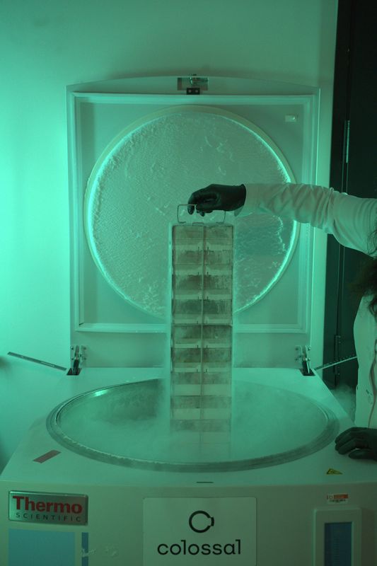 The Plan To Collect and Save the DNA of Everything on the Endangered Species List