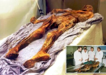 Scientists turn yeast found in gut of ancient mummy into ‘very good’ sourdough bread — beer’s next