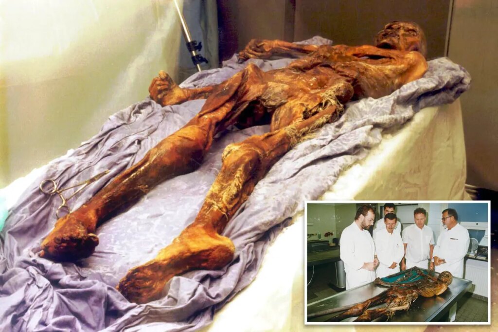Scientists turn yeast found in gut of ancient mummy into ‘very good’ sourdough bread — beer’s next
