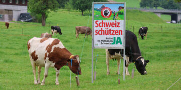 Switzerland says ‘no’ to immigration insanity