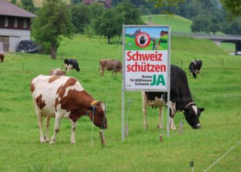 Switzerland says ‘no’ to anti-immigration insanity