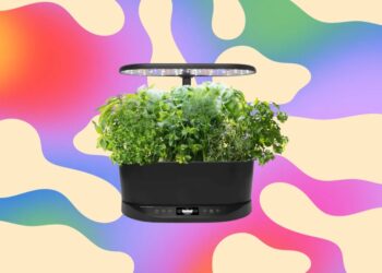 The Aerogarden I Recommend to Everyone Is Just $83 Right Now, a 63% Discount