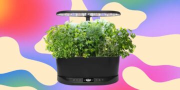 The Aerogarden I Recommend to Everyone Is Just $83 Right Now, a 63% Discount