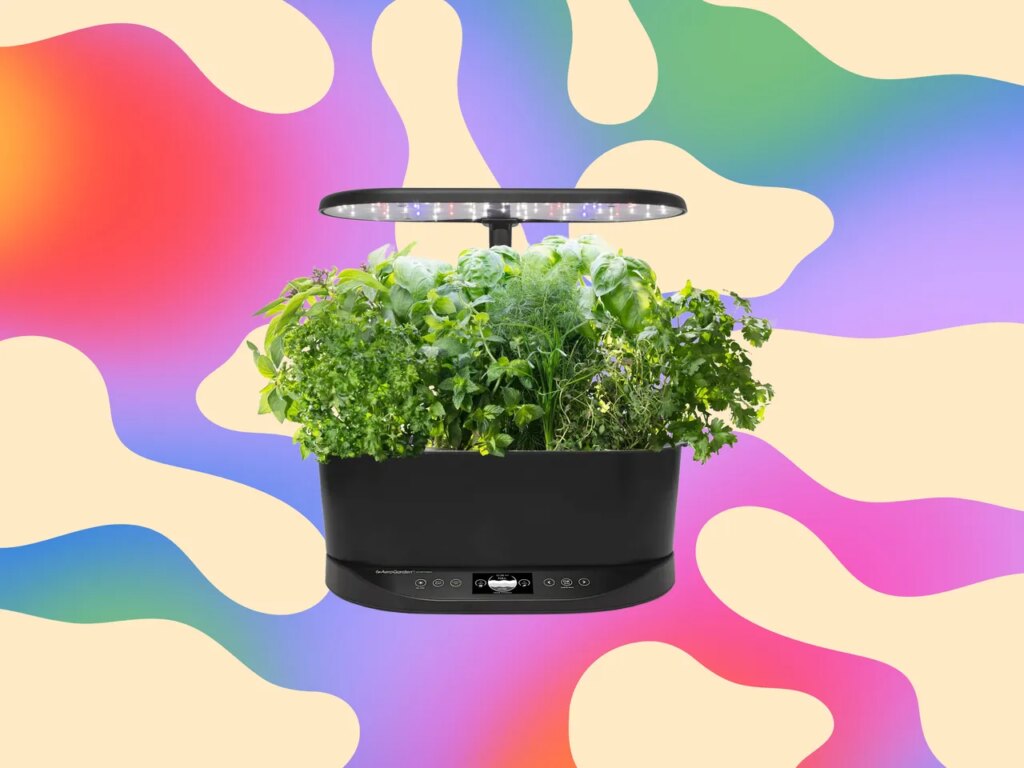 The Aerogarden I Recommend to Everyone Is Just $83 Right Now, a 63% Discount
