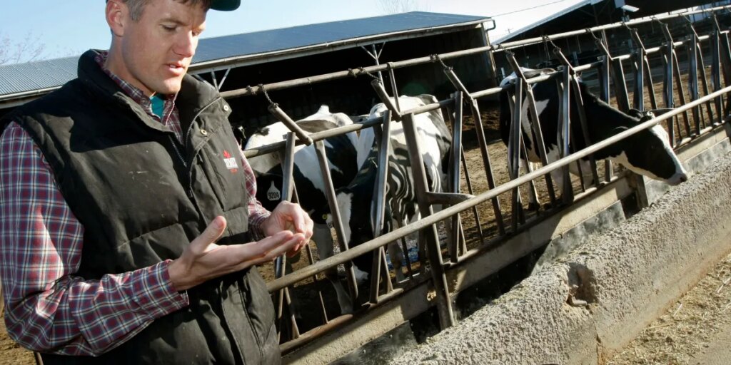 Deep-red Idaho just realized Trump’s immigration policy is lethal for its $20 billion dairy industry