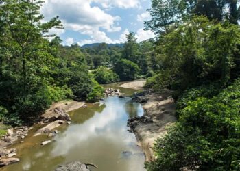 The ‘Parasite of Parasites’ Has Been Discovered in the Tropical Forests of Borneo
