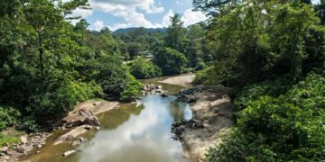 The ‘Parasite of Parasites’ Has Been Discovered in the Tropical Forests of Borneo