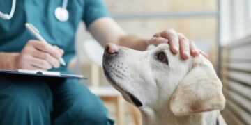 A pet emergency can cost $8,000. For millions of Americans, that bill is now a ‘life and death’ decision