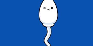 Why young men are killing their sperm