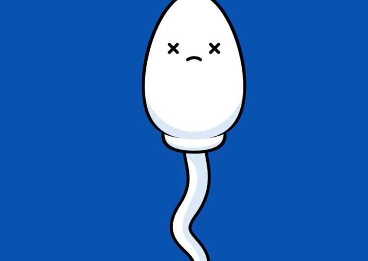 Why young men are killing their sperm